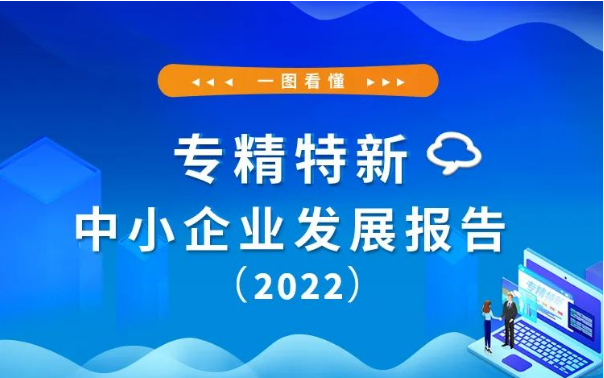 专精特新中小企业发展报告（2022）